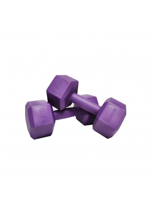 Delta - 2 Kg X 2 Adet Köşeli Mor Plastik Dambıl Ağırlık Seti Delta - 2 Kg X 2 Adet Köşeli Mor Plastik Dambıl Ağırlık Seti