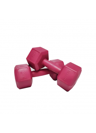 Delta - 2 Kg x 2 Adet Köşeli Fuşya Plastik Dambıl Ağırlık Seti Delta - 2 Kg x 2 Adet Köşeli Fuşya Plastik Dambıl Ağırlık Seti